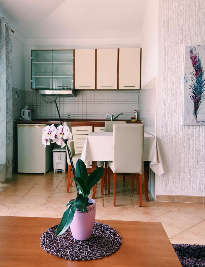 אולסינץ' Apartments Hollaj מראה חיצוני תמונה